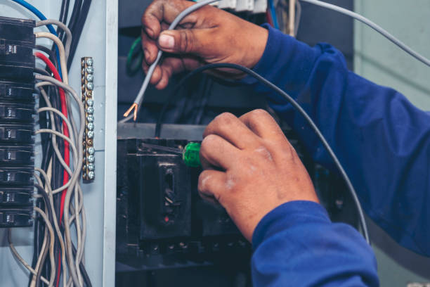 Best Electric Panel Repair  in Bronson, MI